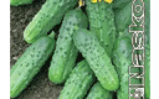 ЗУБРЬОНОК F1