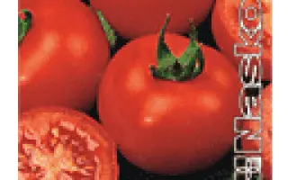 ЖАВОРОНОК F1