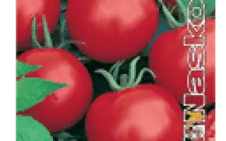 ЛИРА F1 / LIRA F1