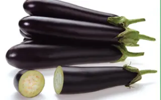 Самурай F1 / Samurai F1