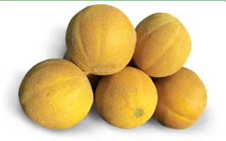 Ванда F1 / Vanda F1