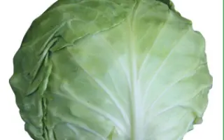 Мисато F1 / Misato F1