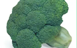 Кеззи F1 / Cazzy F1