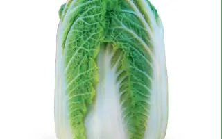 Зена F1 / Zena F1