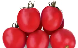 Асвон F1 / Aswan F1