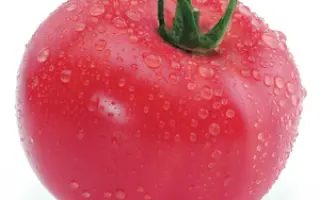 Касамори F1 / Kasamori F1