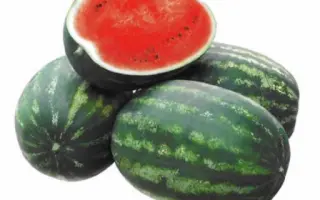 КРИМСОН РУБИ F1