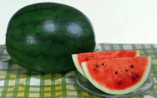 ШУГА ДЕЛИКАТА F1