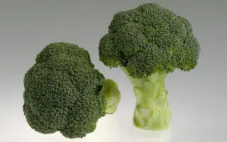 Грин Мэджик F1 / Green Magic F1