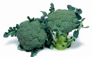 Маратон F1 / Marathon F1