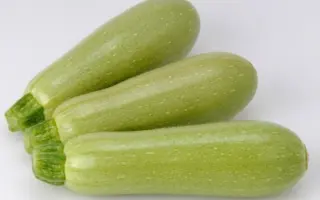 САМА F1 / SAMA F1