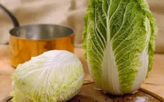 РИЧИ F1 / RICHI F1