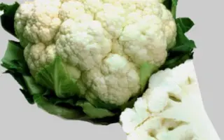 ИНКЛАЙН F1 / INCLINE F1