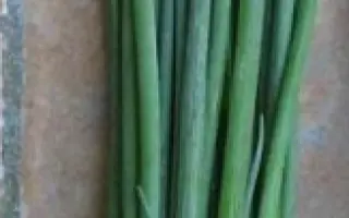 ЛОНГ УАЙТ КОШИГАЯ