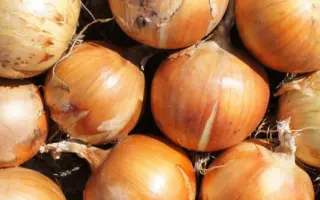 СПЕНИШ МЕДАЛЬОН F1