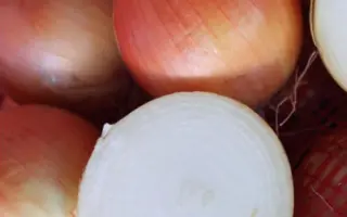 КАПРИКОРН F1