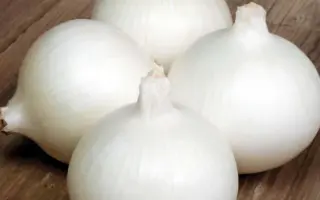 БЕЛЛО БЛАНКО  F1