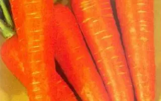 КУРОДА ШАНТАНЭ