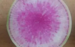 Мисато Роуз Флеш