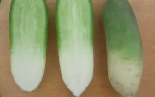 Мисато Грин