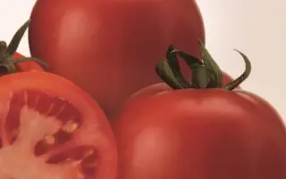 СУПЕР СЕТ F1