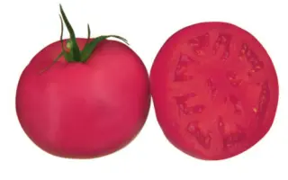 Пинк Райз F1 / Pink Rise F1