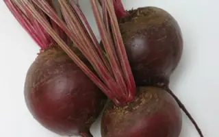 Бордо односемянная