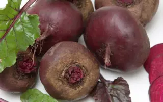 Грибовская плоская А 473