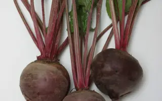 Одноростковая