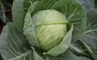 Июньская 3200