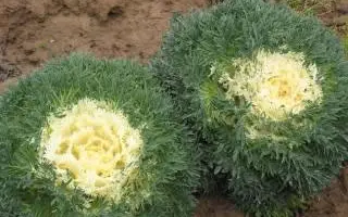 Снежная королева