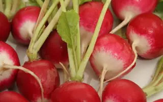 Розово-красный с белым кончиком