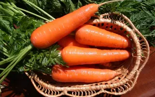 Московская зимняя А 515