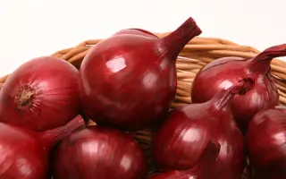 Черный принц