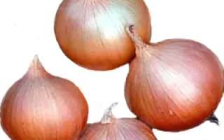 Хай Кипер F1 / Hi-Keeper F1