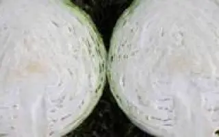 СТРУКТА (TCa-432) F1