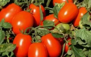 Юджи 8168 F1 / UG 8168 F1