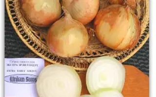 Экстра Ерли Голд F1 / EXTRA EARLY GOLD F1