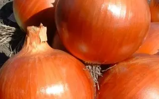 Коппер Бол F1 / Copper Ball F1