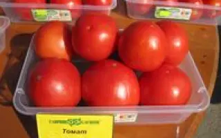 Модуль F1