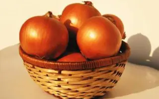 Себола F1 (Сахара)