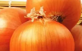 Валенсиана