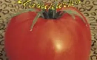 Наша Маша F1