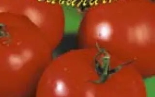 ВАСИЛЬЕВНА F1