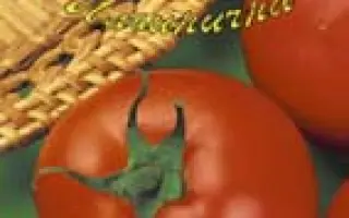 Прекрасная леди F1