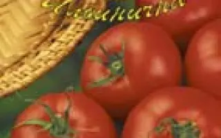 Красная стрела F1