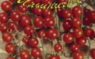 ПОПУГАЙЧИК F1