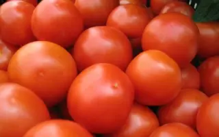 Граф Калиостро F1