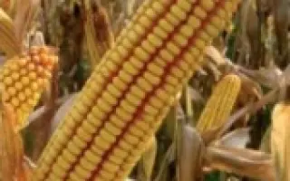 ПР38А24 / PR38A24