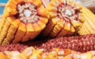 ПР38Г67 / PR38H67